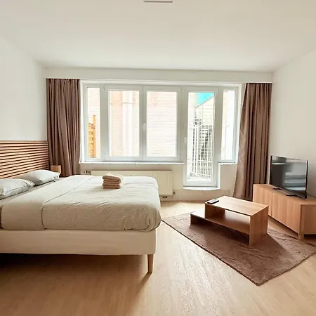 Cosy En Plein Centre Pour 2 Personnes Liege
