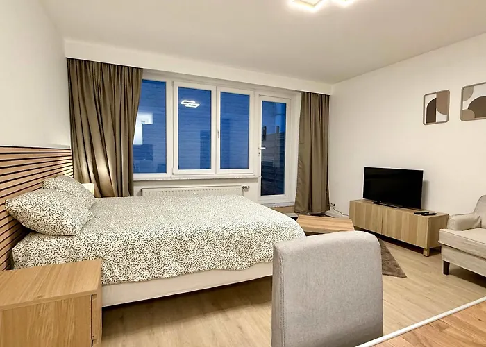 Apartment Cosy En Plein Centre Pour 2 Personnes Liege