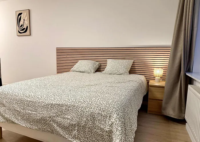 Cosy En Plein Centre Pour 2 Personnes * Liege