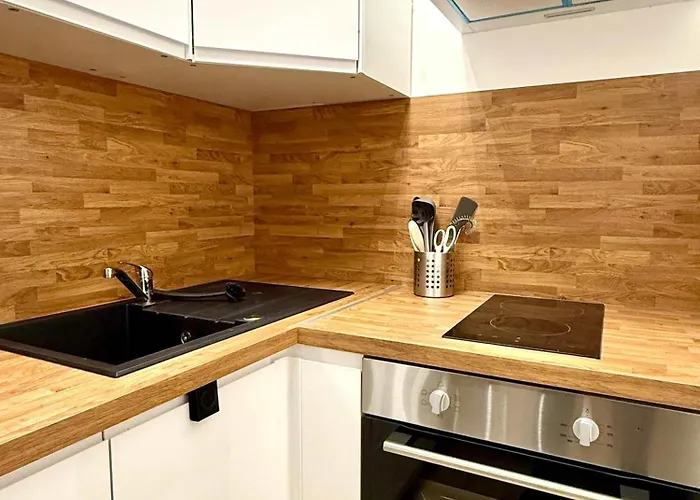 Cosy En Plein Centre Pour 2 Personnes Liege