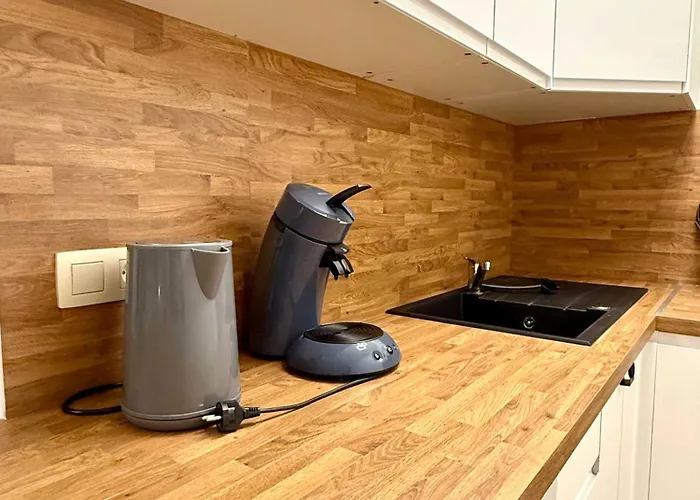 Cosy En Plein Centre Pour 2 Personnes Liege